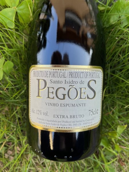 画像1: エシュプマンテ エクストラブルート (サント・イシドロ・デ・ペゴエス)  (1)
