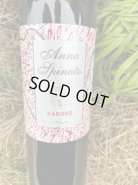 画像1: マルカトレヴィジャーナ ラボーソ IGT 2017 (アンナ・スピナート) (1)