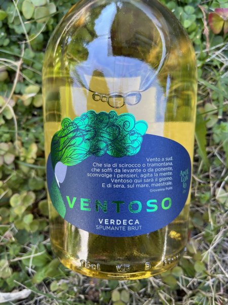 画像1: サレント スプマンテ ブリュット ヴェルデーカ IGP "ヴェントーゾ"  (アッポローニオ) (1)