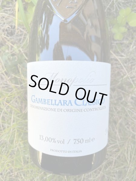 画像1: ガンベッラーラ クラシコ DOC 2022 (カンティーナ・ディ・ガンベッラーラ) (1)