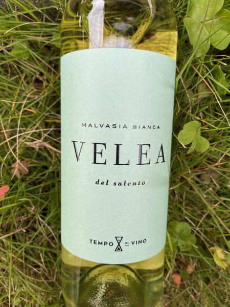 画像1: マルヴァジーア ビアンカ サレント IGT "ヴェレア" 2024 (テンポ・アル・ヴィーノ) (1)