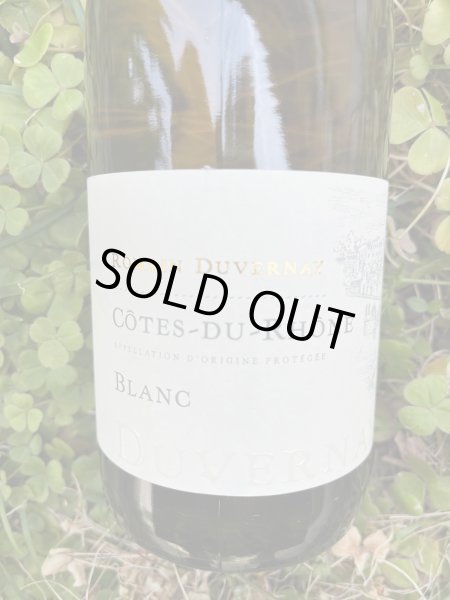 画像1: コート・デュ・ローヌ ブラン AOP 2022 (ロマン・デュヴェルネ) (1)