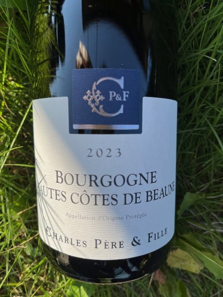 画像1: ブルゴーニュ オート・コート・ドゥ・ボーヌ ルージュ DOC 2023  (シャルル・ペールエフィーユ)  (1)