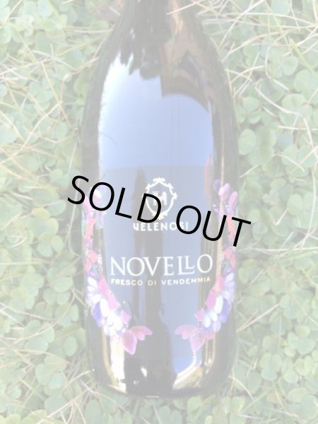 画像1: マルケ ロッソ ノヴェッロ IGT 2024 (ヴェレノージ) (1)