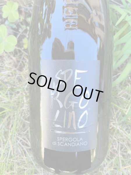 画像1: コッリ・ディ・スカンデイアーノ・エ・ディ・カノッサ DOC "スペルゴリーノ・フリッツァンテ" NV  (アルフレード・ベルトラーニ) (1)