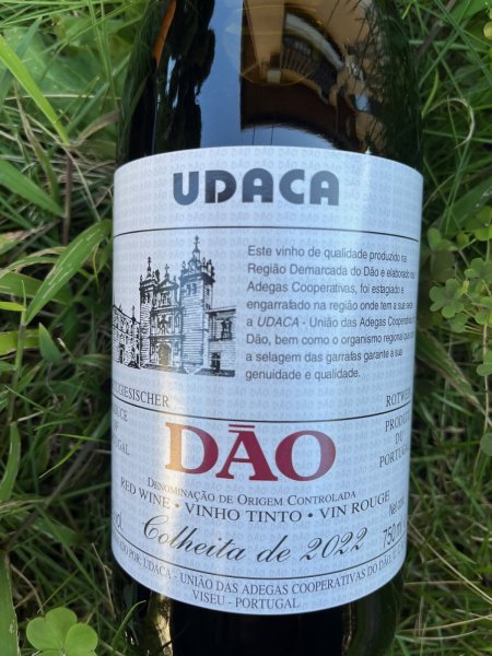 画像1: ダン テイントゥ  DOC 2022 (ウダカ) (1)