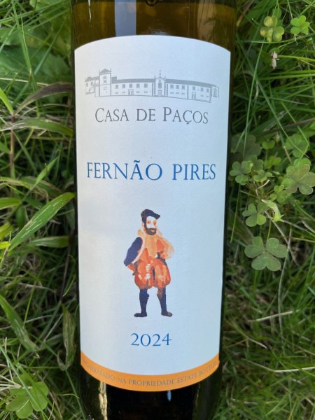 画像1: フェルナン・ピーレス 2024 (カーザ・デ・パッソス) (1)