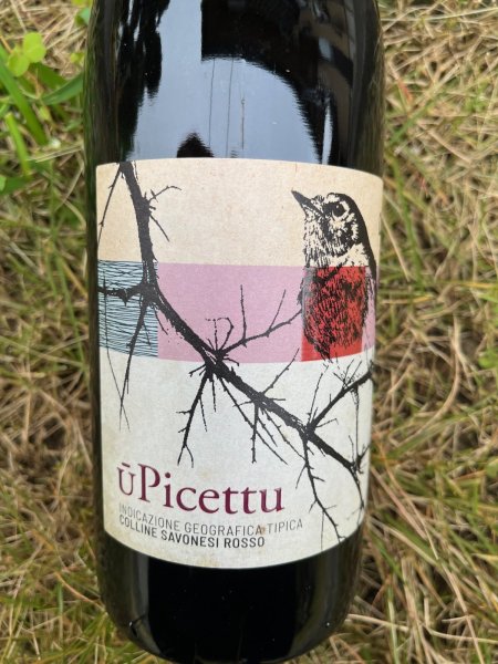 画像1: コッリーネ・サヴォネージ IGT "ウ・ピチェットゥ" 2021 (ドゥリン) (1)