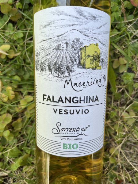 画像1: ヴェスヴィオ ファランギーナ DOC  "マチェリーナ91" 2023 (ソッレンティーノ) (1)