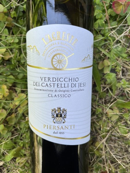 画像1: ヴェルディッキオ・デイ・カステッリディイェージ DOC "ラグレステ" 2024 (ピエルサンティ) (1)