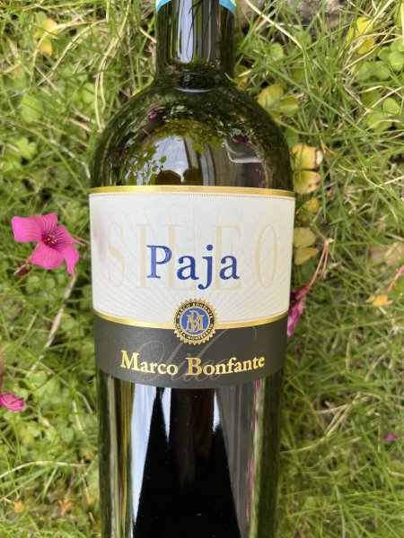 画像1: ピエモンテ コルテーゼ DOC "パイヤ" 2023 (マルコ・ボンファンテ) (1)