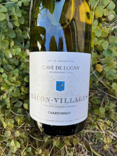 画像1: マコン・ヴィラージュ AOC 2023 (カーヴ・ド・リューニー) (1)