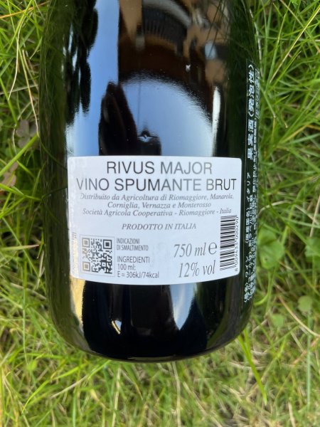 画像2: スプマンテ ブリュット リウス マヨール VSQ (カンティーナ・チンクエテッレ) (2)