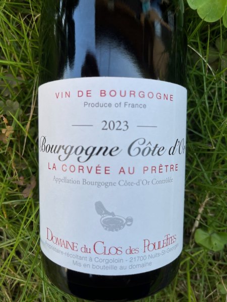 画像1: ブルゴーニュ コートドール "ラ・コルヴェ・オー・プレートル" AOC 2023  (ドメーヌ・デュ・クロデプレット)  (1)