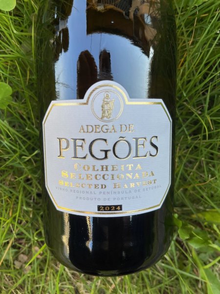 画像1: ヴィーニョ レジオナル テラス ド サド ブランコ 2024 (サント・イシドロ・デ・ペゴエス・アデガ)  (1)