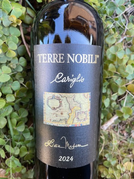 画像1: カラブリア・ロッソ "カリーリオ" IGT 2024 (テッレ・ノビリ) (1)